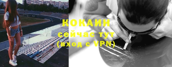 шишки Горняк