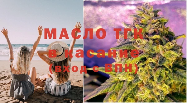 шишки Горняк