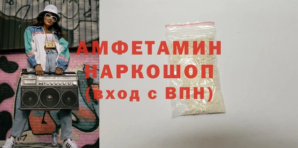 шишки Горняк