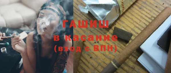 шишки Горняк