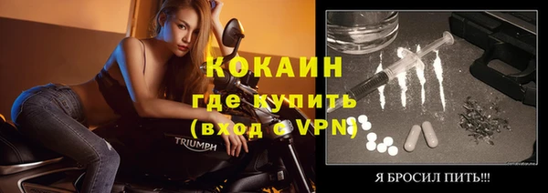 прущий лед Вяземский