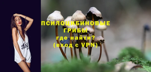 шишки Горняк