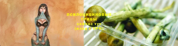 бошки Горно-Алтайск