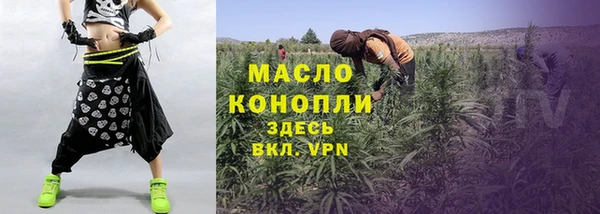 шишки Горняк