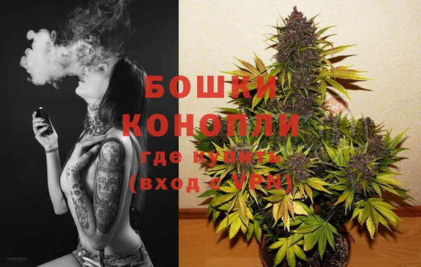 метадон Горнозаводск