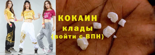 шишки Горняк