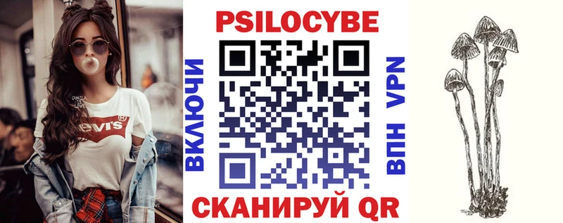 блэк спрут ССЫЛКА Дивногорск Псилоцибиновые грибы Psilocybe